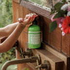 Lemongrass  Organic Sugar Soaps Everyday Care