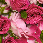 Rose  PureCastile Magic Bar Soap Everyday Care