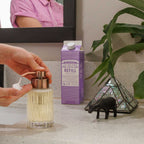 Lavender  PureCastile Magic Soap Refill Everyday Care
