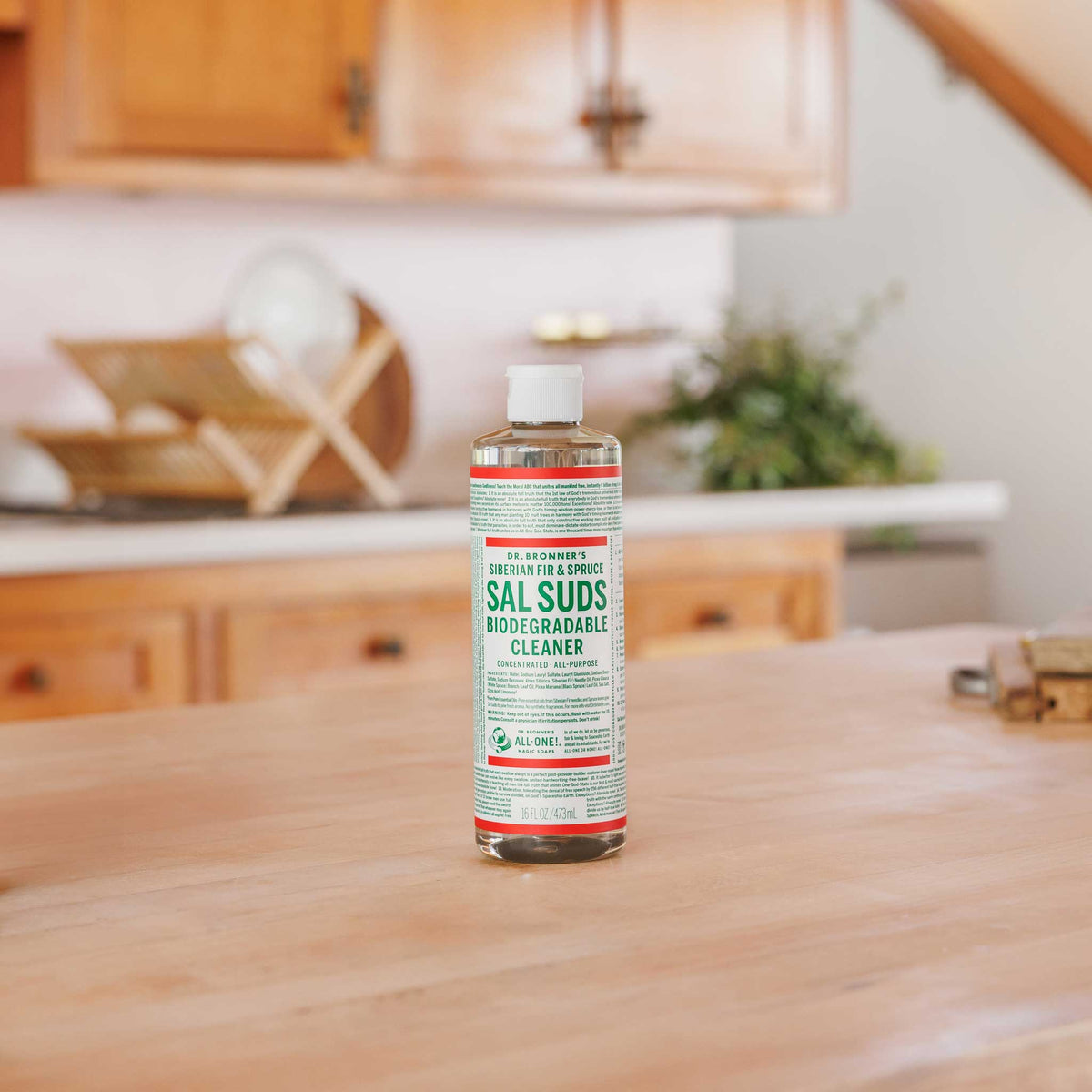 Sal Suds Biodegradable Cleaner Everyday Care